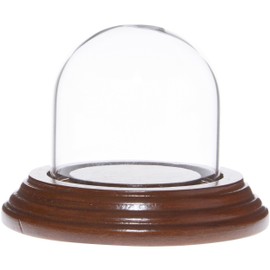 Plymor 2" x 2" Mini Glass Display Dome Cloche (Walnut Veneer Base)