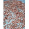 5 Kilos De Cacao Seco Grano Agroecologico Comalcalco Tabasco