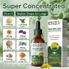 Alliwise Mullein Leaf Tincture Natural Liquid Drops Extract 2 Oz