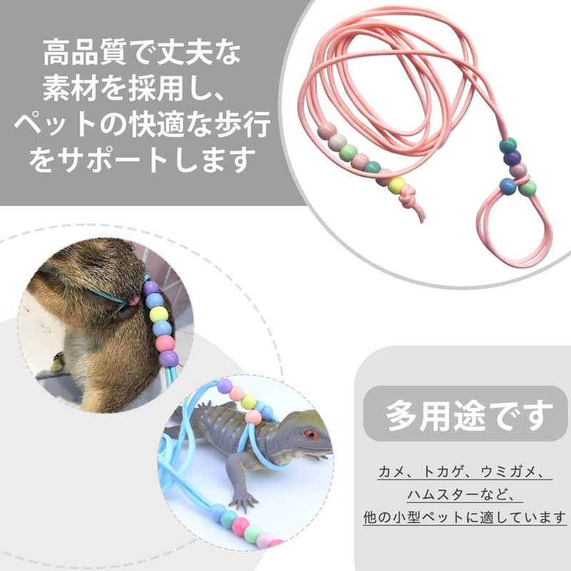 PAVIKE Reptile Training Lead Harness, Lizard Lead, Small Animal Lead,