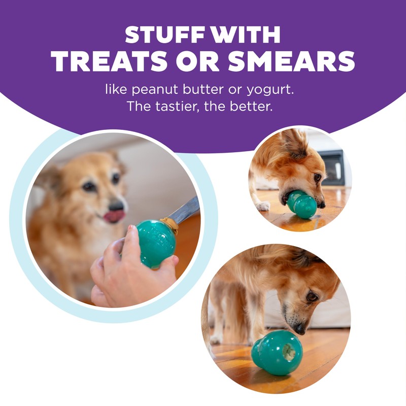 Outward Hound Double-Tuff Stuffable Dog Toy, Medium 4-Inch Green -