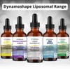 Magnesium Liposomal Supplement. Highly absorbable for Optimal Energy, Muscle Health,