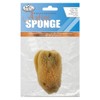 Royal Brush - Artist's Sponge - Silk Sponge- 3"-3-1/2"