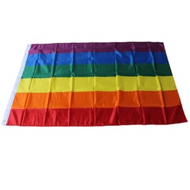 WS UK Large Country Flag 3x5ft with Eyelets [Rainbow]