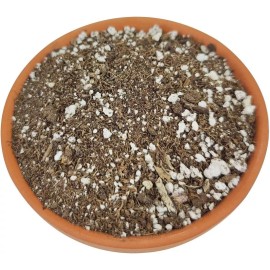 Baby Violets Succulent & Cactus Plant Potting Soil Mix Peat Moss & Perlite, 1 quart - 4 gal - 1 Quart (4 level cups)