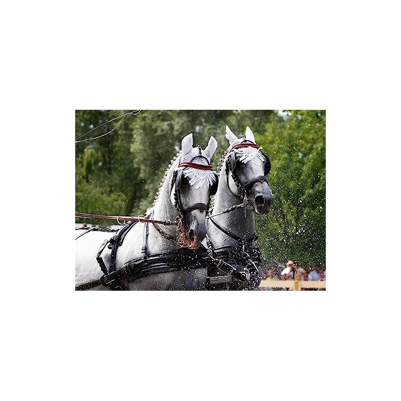 Amesbichler Reitsport Post Bit with Movable Side Panels - Driving