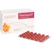 Femisanit Capsules, Pack of 180