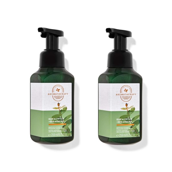 Eucalyptus Spearmint - White Barn - Foaming Hand Soap -