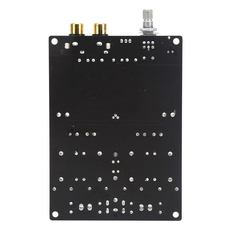 Digital Power Amp Board Deluxe Dual Chip 2x100W Amplifier PCB