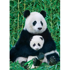 EuroGraphics Panda and Baby 1000 Piece Puzzle, Multicolor, 6000-0173