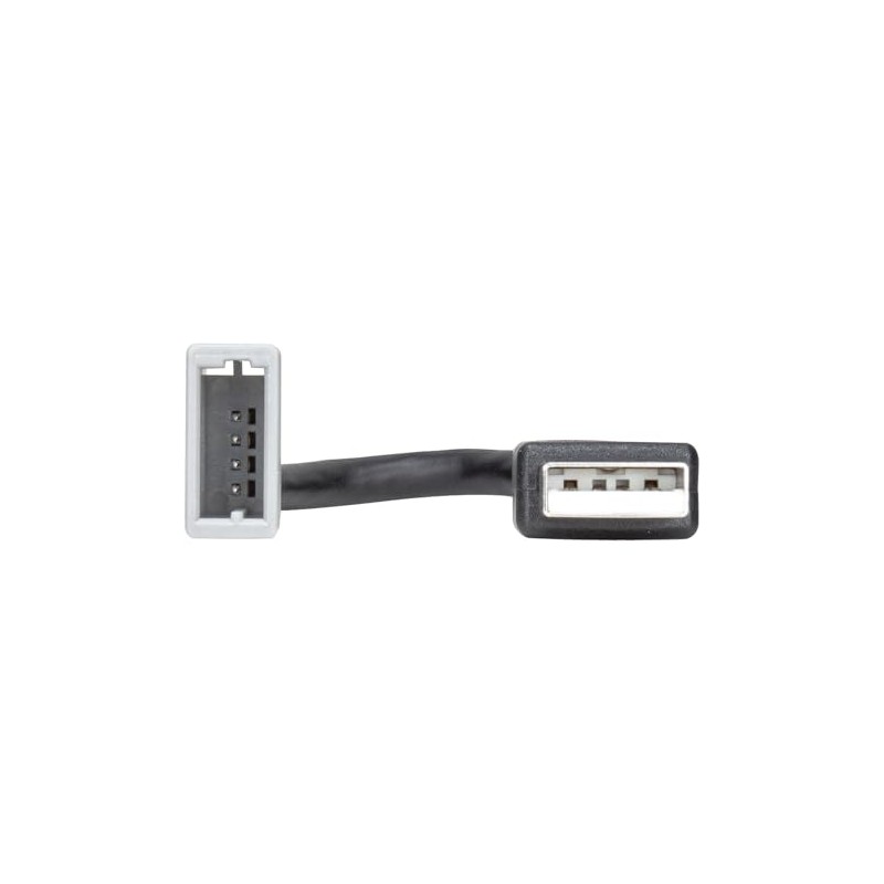 tomzz Audio 7525-003 USB Replacement Adapter Compatible with Kia Carnival