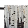 HDESDIS 1 Panel White Birch Tree Valances for Windows, Forest