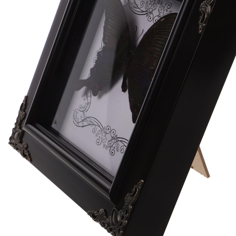 TOYANDONA Real Framed Butterfly Taxidermys Butterfly, Vintage Butterfly Specimen Display