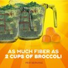 Metamucil Fiber Gummies for Adults, No Sugar Added Orange Flavor,