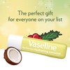 Vaseline Lip Therapy Holiday Edition Coconut Macaroon, Refreshing Hydration with