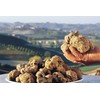RAISE ME UP: White Truffle Mushrooms Spores (Tuber magnatum) Non