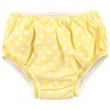 Hudson Baby Unisex Baby Swim Diapers, Pink Lemons, 18-24 Months