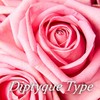 Rose Duet (D type) / 로즈 듀에 (D type)