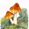 Mushroom Clip Ornaments - Set of 3 Woodland Mushroom Decorations