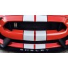 Ford 2016 2017 2018 2020 Mustang Shelby gt350 front splitter