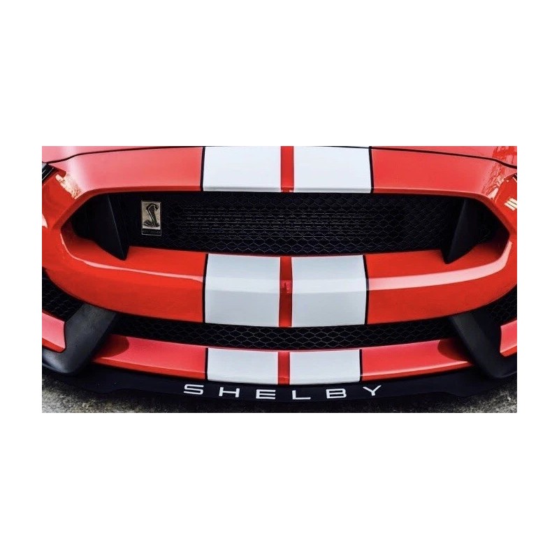 Ford 2016 2017 2018 2020 Mustang Shelby gt350 front splitter