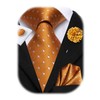 Hi-Tie Mens Tie Pocket Square Set Cufflinks Lapel Pin Silk