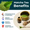 Teapro Ceremonial Grade Matcha Green Tea 100g Powder from Kyushu