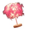 Feather Table Lamp Light Luxury Bedside Lamp Night Light for