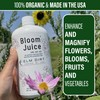 Elm Dirt's Bloom Juice for All Flowering Plants (1 Bottle)