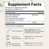 Micro Ingredients Lions Mane with L-Ergothioneine | 240 Vegan Capsules,