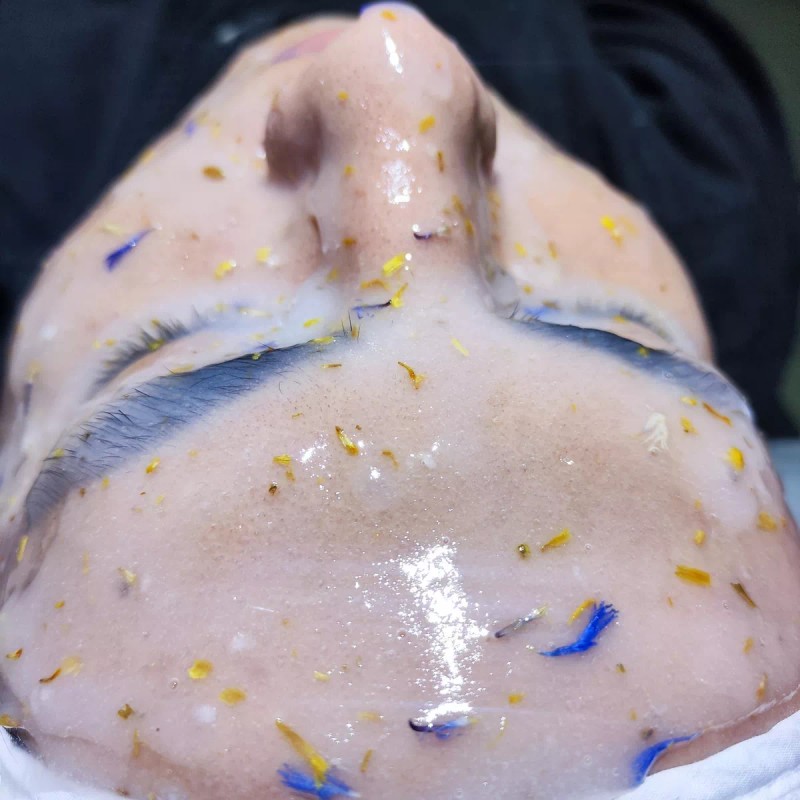 Nuestra Tierra Cosmética 500grs De Mascarilla Hidro-plástica Calmanilla