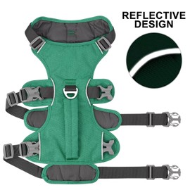 Beirui Escape Proof Dog Harness,Soft Padded Dog Vest No Pull with Lift Handle,Durable Reflective Waterproof Full Body Pet Harness for Small Medium Dogs Walking Training(Green,Chest 18-32")