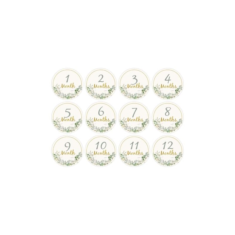 12pcs Baby Monthly Milestone Cards, Paper Photo Prop Monthly Milestone