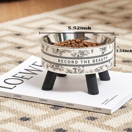 Levmoudra Elevated Cat Food Bowls with Stand, Stainless Steel Anti Vomiting Non-Slip Raised Cat Bowl, Pet Feeding Bowls for Cats Kittens Puppies and Small Dogs