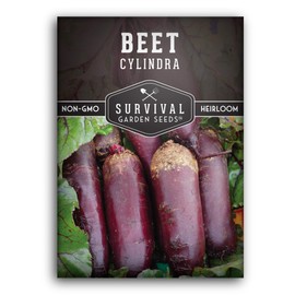 Survival Garden Seeds - Cylindra Beet Seed for Planting - Packet with Instructions to Plant and Grow Your Home Vegetable Garden - Non-GMO Heirloom Variety