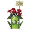 Sunset Vista Designs Get Happy Frog Planter