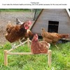 Chicken Perch Stable Triangular Wooden Chick Training Perch Toy Interactive
