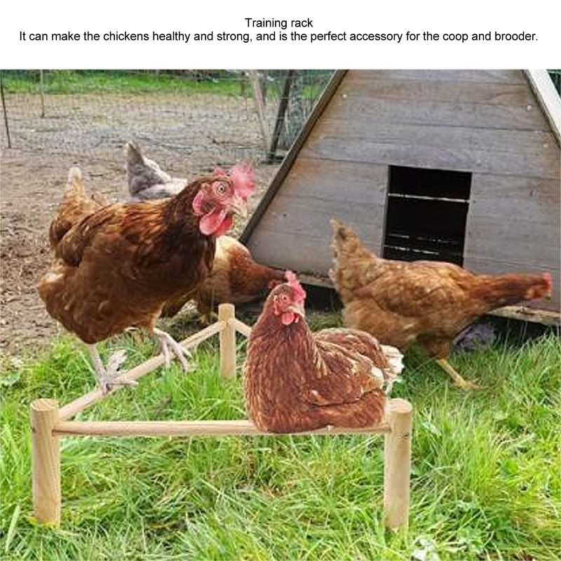 Chicken Perch Stable Triangular Wooden Chick Training Perch Toy Interactive