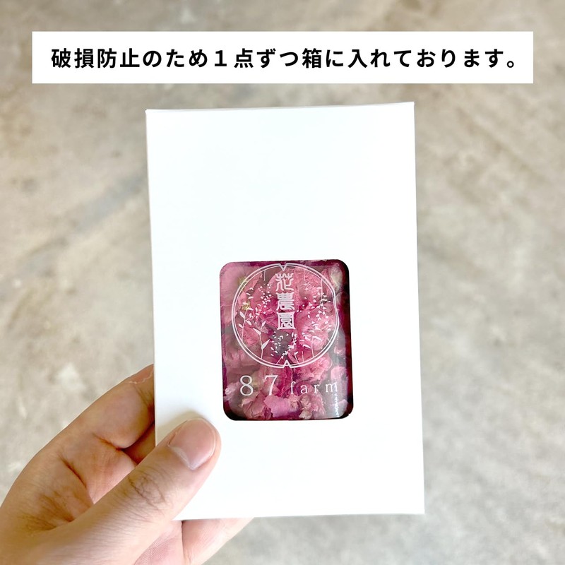 Edible Flower, Dried Edible Flowers, Edible Flowers, Begonia, Pink