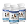 probiotics for Dogs - Advanced Formula - Digestive AID -