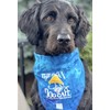 Salty Dog Bandana (Blue Tie Dye, Large (20-80 lbs))