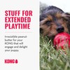 KONG Classic Stuffable Dog Toy Easy Treat Peanut Butter Spray