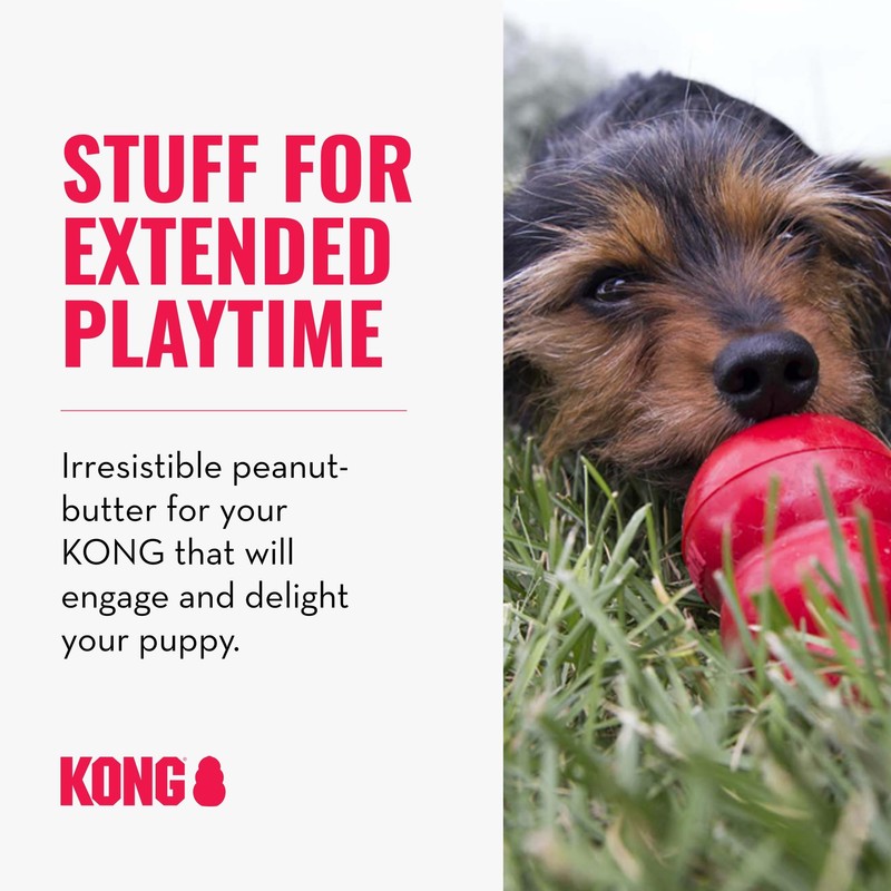 KONG Classic Stuffable Dog Toy Easy Treat Peanut Butter Spray