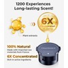 Hitolza Car Air Freshener Refill - Pack of 2, Can