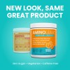 AminoLean Hydrating Electrolyte Powder and Recovery Drink with Sea Minerals,