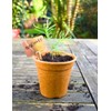 Nutley's T-Shape Copper Labels Plant Seedling Markers (Pack of 100)