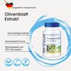 Olive Leaf Extract 500mg, Standardized to 20% Oleuropein, 120 Capsules