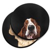 WIRESTER, Cute Basset Hound Dog, Winking Golden Retriever Dog Design