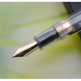 JINHAO DADAO 9019 Fountain Pen Acrylic Ink Pen with Ink Converter (Fine Nib, Transparent)