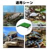 PAVIKE Turtle Floating Island (M) Turtle Terrace for Turtles Land